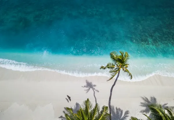 Plage tropicale